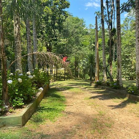 Chale Em Meio A Natureza! Guabiruba Exterior foto
