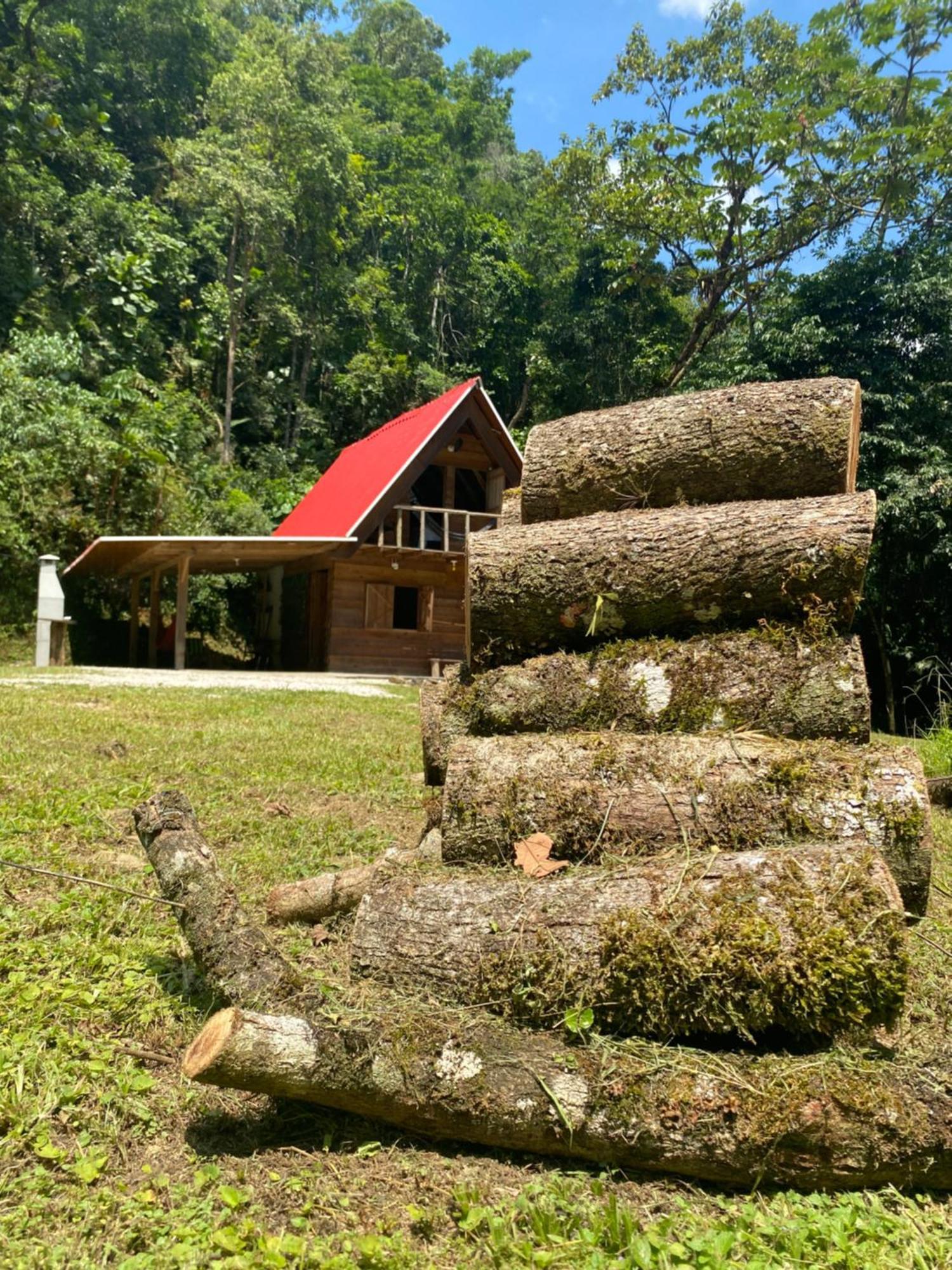 Chale Em Meio A Natureza! Guabiruba Exterior foto