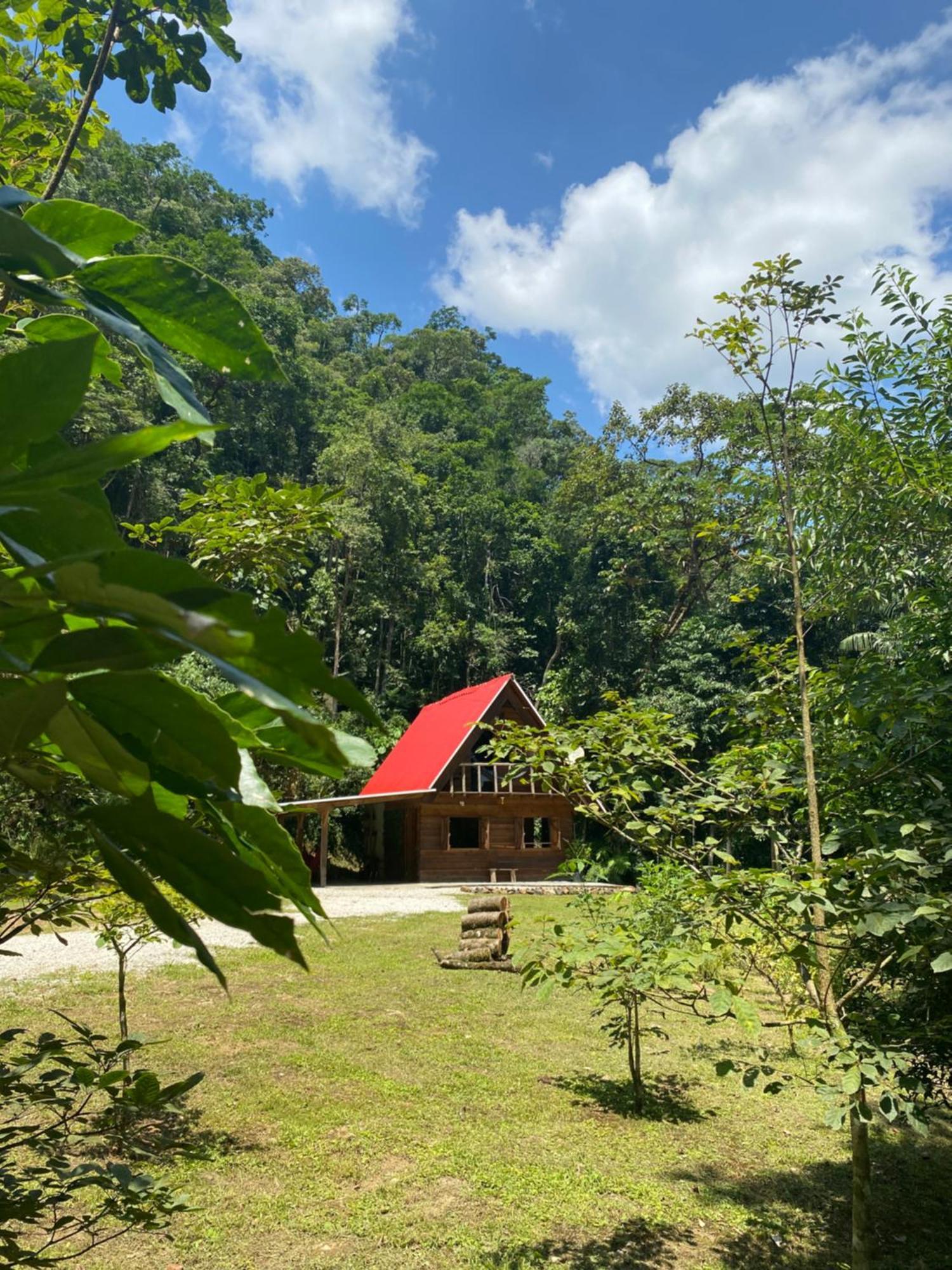 Chale Em Meio A Natureza! Guabiruba Exterior foto